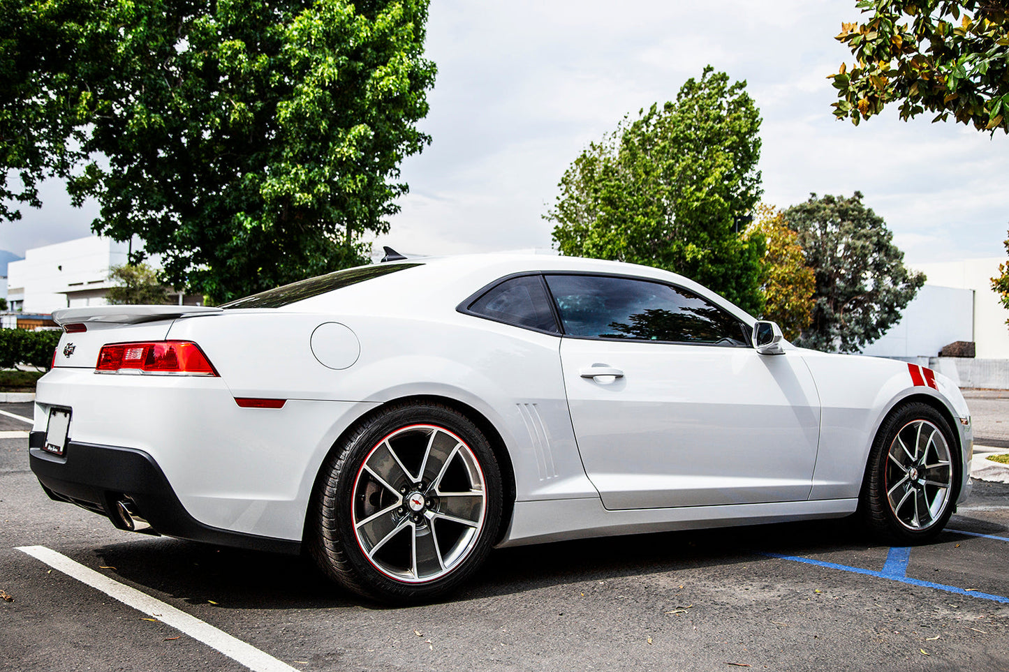 2010-2015 Chevrolet Camaro GT-S Lowering Springs
