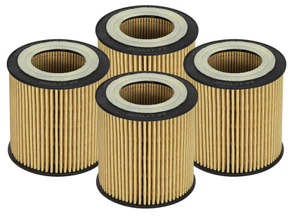 Pro GUARD D2 Oil Filter (4 Pack) BMW Cars  06-19 L6-3.0L (t) N54/N55