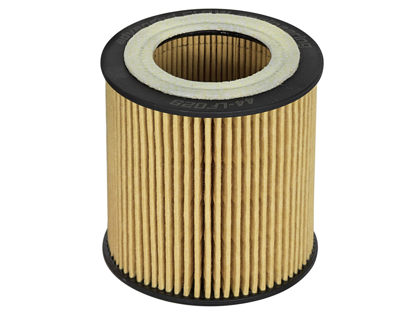Pro GUARD D2 Oil Filter BMW Cars  06-19 L6-3.0L (t) N54/N55