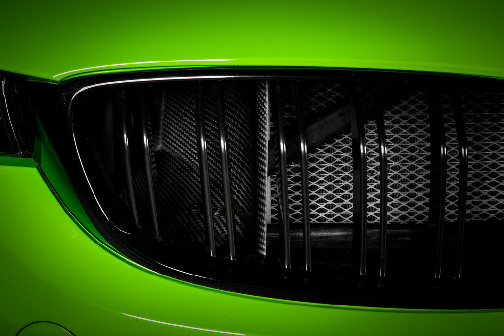 Eventuri BMW F8X M3 / M4 Black Carbon Air Scoop Set