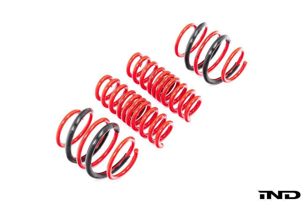 AST G8X M2 / M3 / M4 Lowering Spring Set