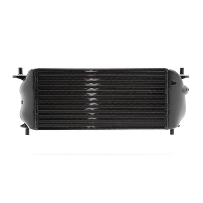 FORD FRONT MOUNT INTERCOOLER BLACK (FACTORY LOCATION) F-150 ECOBOOST RAPTOR / LIMITED / 3.5L / 2.7L