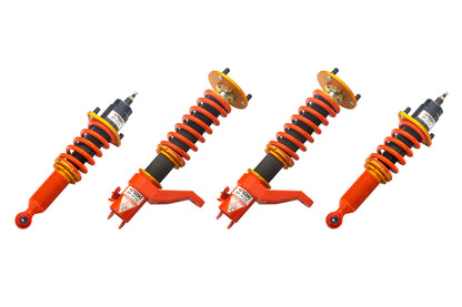 2001-2005 Acura RSX DT-P Coilovers