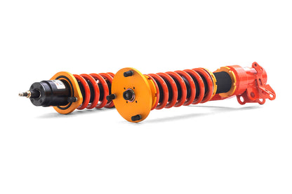 2001-2005 Acura RSX DT-P Coilovers