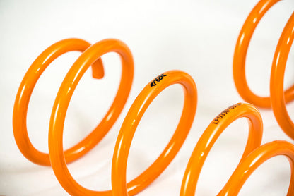 2012-2019 BMW 3 Series | 4 Series GT-F Lowering Springs