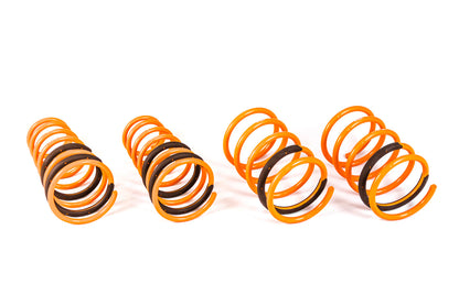 2003-2008 Hyundai Tiburon GT-F Lowering Springs