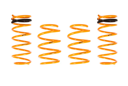 2012-2018 Hyundai Veloster GT-F Lowering Springs