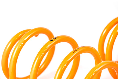 2015-2019 Hyundai Sonata GT-F Lowering Springs