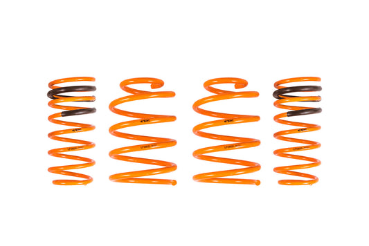 2010-2013 Kia Forte Koup | Hatch | Sedan GT-F Lowering Springs