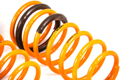 2010-2013 Kia Forte Koup | Hatch | Sedan GT-F Lowering Springs