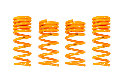 2009-2020 Nissan 370Z GT-F Lowering Springs