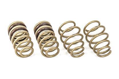 2010-2015 Chevrolet Camaro GT-S Lowering Springs