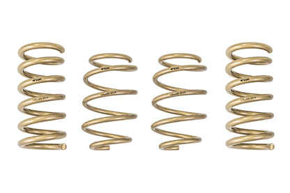 2015-2021 Ford Mustang GT-S Lowering Springs