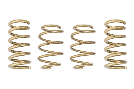 2015-2021 Ford Mustang GT-S Lowering Springs