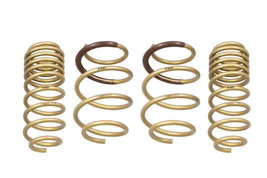 2016-2021 Honda Civic Hatchback | Coupe | Sedan GT-S Lowering Springs