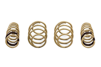 2021-2025 Kia K5 GT-S Lowering Springs