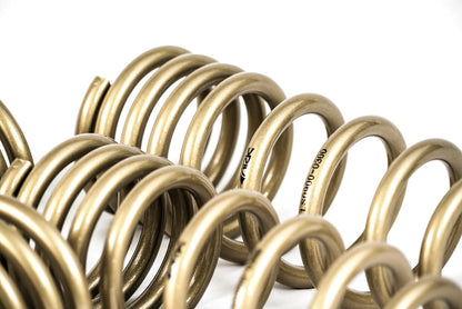 2003-2008 Nissan 350Z GT-S Lowering Springs