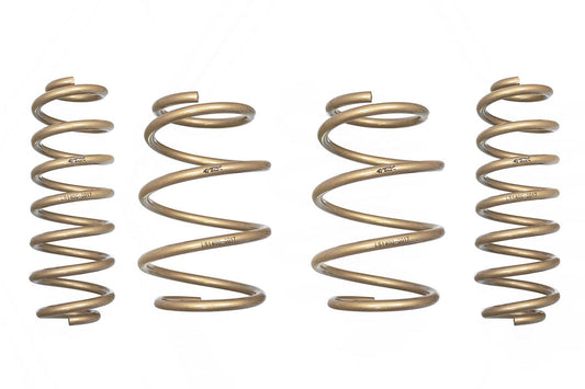2017-2018 Toyota C-HR GT-S Lowering Springs