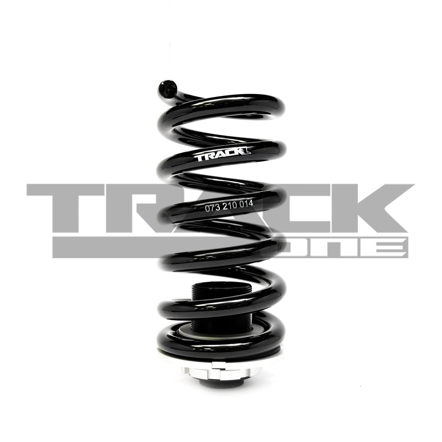 Dodge Challenger (08-10)