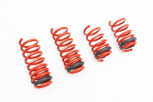 Megan Racing Audi R8 17+ (V10 Only) Lowering Springs - MR-LS-AR817