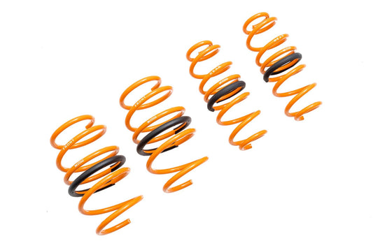 Megan Racing Toyota Corolla 19+ Hatchback Lowering Springs (EXC Sedan) - MR-LS-TCO19H
